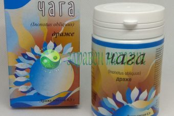 Birch mushroom "Chaga" (Inonotus obliquus) dragee (for stress)