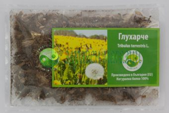 Dandelion (root) – Taraxacum officinale