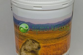Marmot Fat (Marmota sibirica) 100% Natural